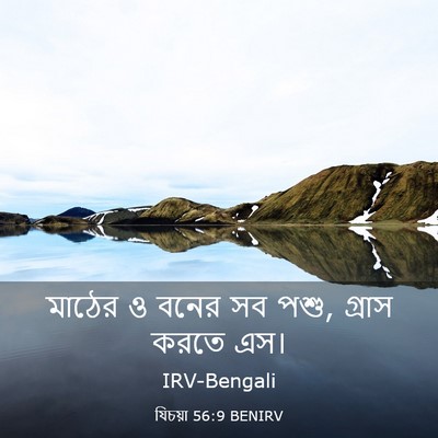 Picture 03 - যিচয়া 56:9 BENIRV - মাঠের ও বনের সব - Bible Verse Picture