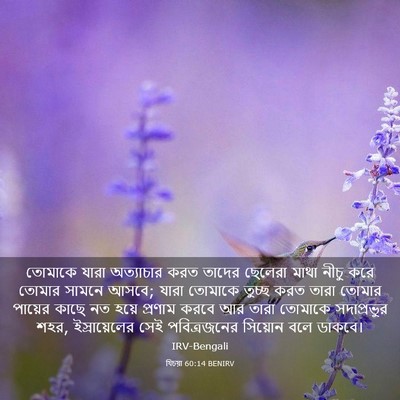 Picture 03 - যিচয়া 60:14 BENIRV - তোমাকে যারা - Bible Verse Picture