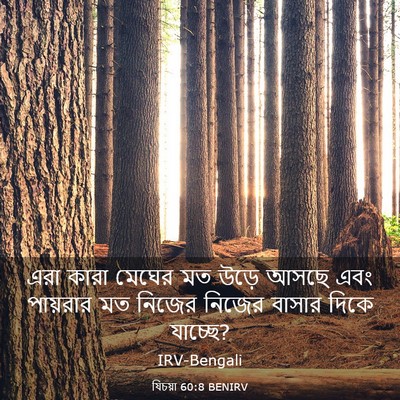 Picture 03 - যিচয়া 60:8 BENIRV - এরা কারা মেঘের মত - Bible Verse Picture