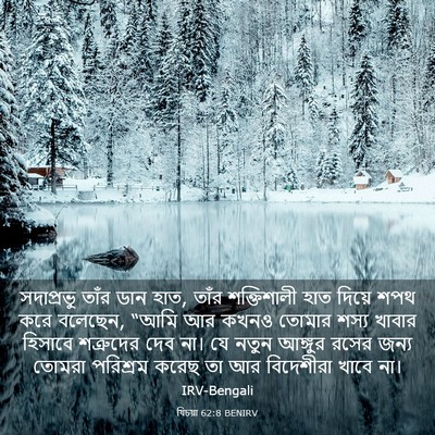 Picture 03 - যিচয়া 62:8 BENIRV - সদাপ্রভু তাঁর ডান - Bible Verse Picture