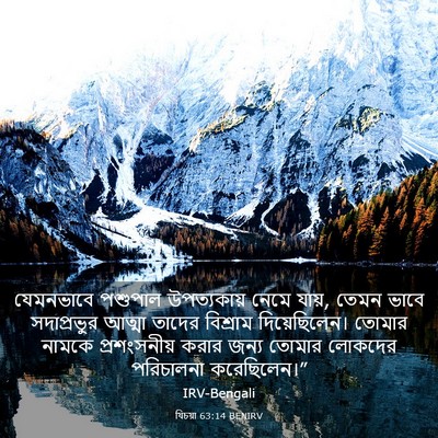 Picture 03 - যিচয়া 63:14 BENIRV - যেমনভাবে পশুপাল - Bible Verse Picture