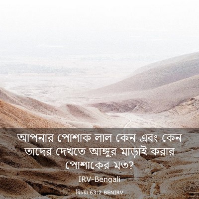 Picture 03 - যিচয়া 63:2 BENIRV - আপনার পোশাক লাল - Bible Verse Picture