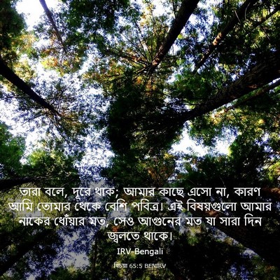 Picture 03 - যিচয়া 65:5 BENIRV - তারা বলে, দূরে থাক; - Bible Verse Picture