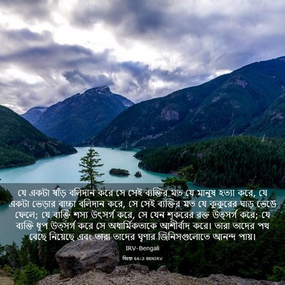 Picture 03 - যিচয়া 66:3 BENIRV - যে একটা ষাঁড় - Bible Verse Picture