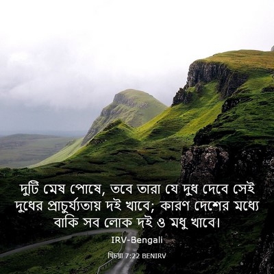 Picture 03 - যিচয়া 7:22 BENIRV - দুটি মেষ পোষে, তবে - Bible Verse Picture