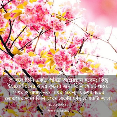 Picture 03 - যিচয়া 8:14 BENIRV - তা হলে তিনি একটা - Bible Verse Picture