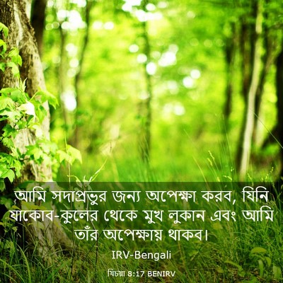 Picture 03 - যিচয়া 8:17 BENIRV - আমি সদাপ্রভুর - Bible Verse Picture