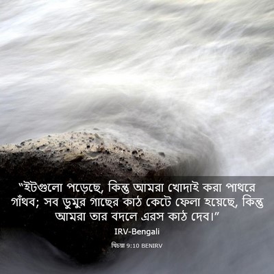Picture 03 - যিচয়া 9:10 BENIRV - “ইটগুলো পড়েছে, - Bible Verse Picture