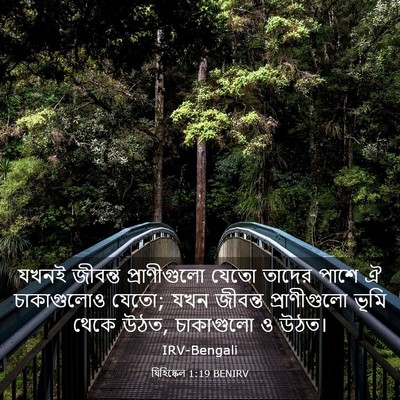 Picture 03 - যিহিষ্কেল 1:19 BENIRV - যখনই জীবন্ত - Bible Verse Picture