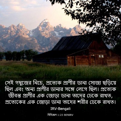 Picture 03 - যিহিষ্কেল 1:23 BENIRV - সেই গম্বুজের নিচে, - Bible Verse Picture