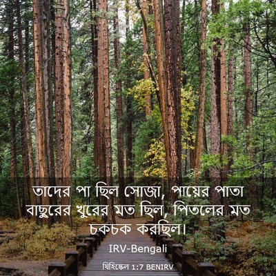 Picture 03 - যিহিষ্কেল 1:7 BENIRV - তাদের পা ছিল সোজা, - Bible Verse Picture