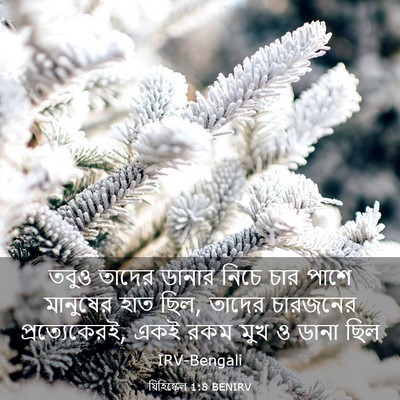 Picture 03 - যিহিষ্কেল 1:8 BENIRV - তবুও তাদের ডানার - Bible Verse Picture