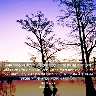 Picture 03 - যিহিষ্কেল 10:19 BENIRV - তখন করূবেরা আমার - Bible Verse Picture