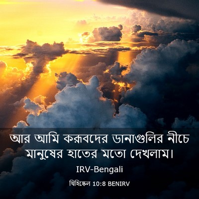 Picture 03 - যিহিষ্কেল 10:8 BENIRV - আর আমি করূবদের - Bible Verse Picture