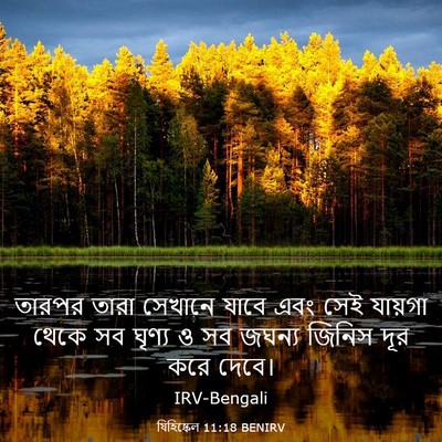 Picture 03 - যিহিষ্কেল 11:18 BENIRV - তারপর তারা সেখানে - Bible Verse Picture