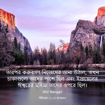 Picture 03 - যিহিষ্কেল 11:22 BENIRV - তারপর করুবগণ - Bible Verse Picture