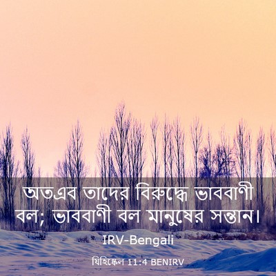 Picture 03 - যিহিষ্কেল 11:4 BENIRV - অতএব তাদের - Bible Verse Picture