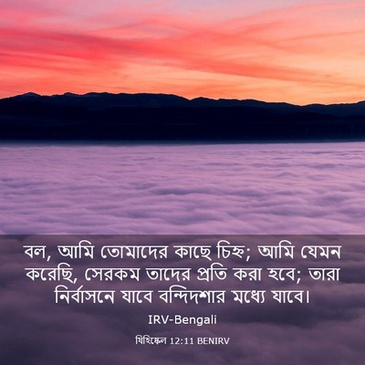 Picture 03 - যিহিষ্কেল 12:11 BENIRV - বল, আমি তোমাদের - Bible Verse Picture