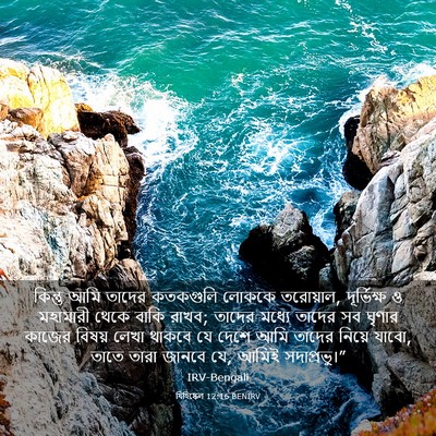 Picture 03 - যিহিষ্কেল 12:16 BENIRV - কিন্তু আমি তাদের - Bible Verse Picture