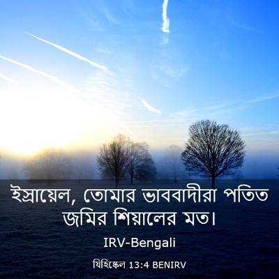 Picture 03 - যিহিষ্কেল 13:4 BENIRV - ইস্রায়েল, তোমার - Bible Verse Picture
