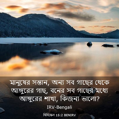 Picture 03 - যিহিষ্কেল 15:2 BENIRV - মানুষের সন্তান, - Bible Verse Picture