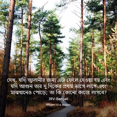Picture 03 - যিহিষ্কেল 15:4 BENIRV - দেখ, যদি জ্বালানীর - Bible Verse Picture