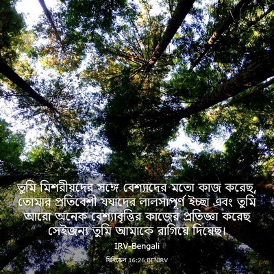 Picture 03 - যিহিষ্কেল 16:26 BENIRV - তুমি মিশরীয়দের - Bible Verse Picture