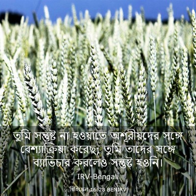 Picture 03 - যিহিষ্কেল 16:28 BENIRV - তুমি সন্তুষ্ট না - Bible Verse Picture