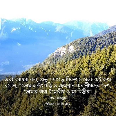 Picture 03 - যিহিষ্কেল 16:3 BENIRV - এবং ঘোষণা কর, প্রভু - Bible Verse Picture