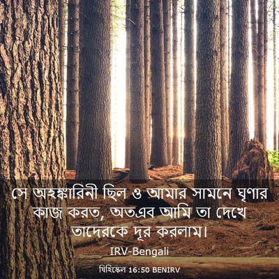 Picture 03 - যিহিষ্কেল 16:50 BENIRV - সে অহঙ্কারিনী ছিল - Bible Verse Picture