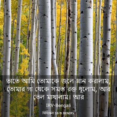 Picture 03 - যিহিষ্কেল 16:9 BENIRV - তাতে আমি তোমাকে - Bible Verse Picture