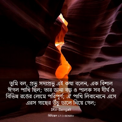 Picture 03 - যিহিষ্কেল 17:3 BENIRV - তুমি বল, প্রভু - Bible Verse Picture