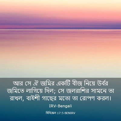 Picture 03 - যিহিষ্কেল 17:5 BENIRV - আর সে ঐ জমির একটি - Bible Verse Picture