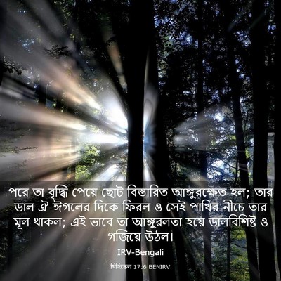 Picture 03 - যিহিষ্কেল 17:6 BENIRV - পরে তা বৃদ্ধি - Bible Verse Picture