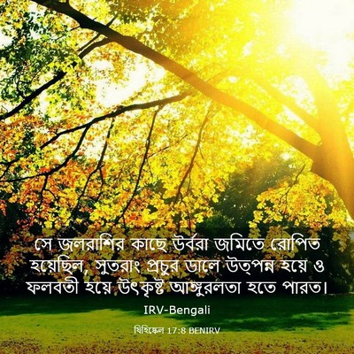 Picture 03 - যিহিষ্কেল 17:8 BENIRV - সে জলরাশির কাছে - Bible Verse Picture
