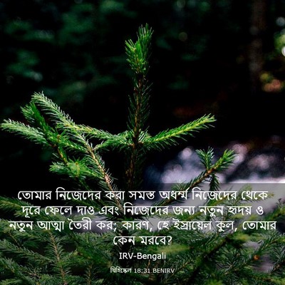 Picture 03 - যিহিষ্কেল 18:31 BENIRV - তোমার নিজেদের করা - Bible Verse Picture