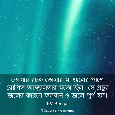 Picture 03 - যিহিষ্কেল 19:10 BENIRV - তোমার রক্তে তোমার - Bible Verse Picture