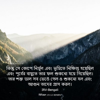 Picture 03 - যিহিষ্কেল 19:12 BENIRV - কিন্তু সে কোপে - Bible Verse Picture