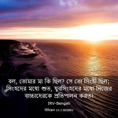 Picture 03 - যিহিষ্কেল 19:2 BENIRV - বল, তোমার মা কি ছিল? - Bible Verse Picture