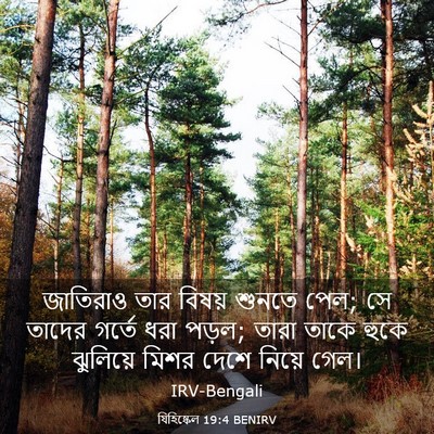 Picture 03 - যিহিষ্কেল 19:4 BENIRV - জাতিরাও তার বিষয় - Bible Verse Picture