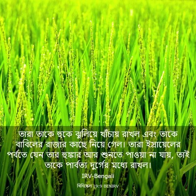 Picture 03 - যিহিষ্কেল 19:9 BENIRV - তারা তাকে হুকে - Bible Verse Picture