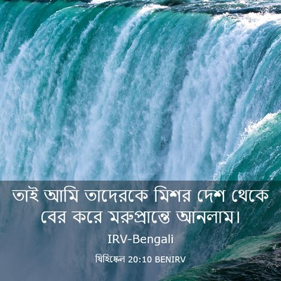 Picture 03 - যিহিষ্কেল 20:10 BENIRV - তাই আমি তাদেরকে - Bible Verse Picture