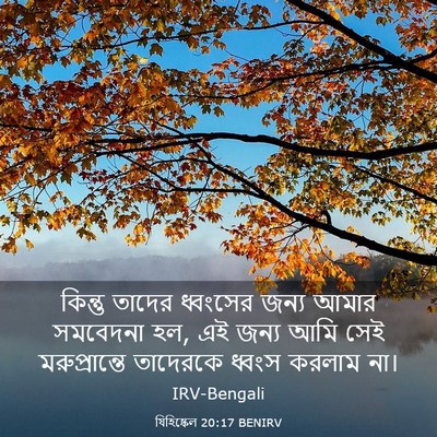 Picture 03 - যিহিষ্কেল 20:17 BENIRV - কিন্তু তাদের - Bible Verse Picture