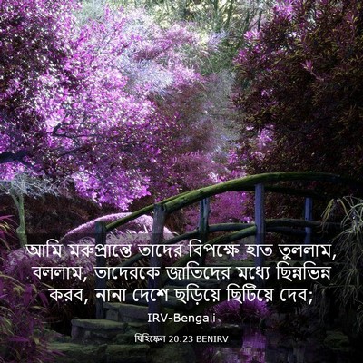 Picture 03 - যিহিষ্কেল 20:23 BENIRV - আমি মরুপ্রান্তে - Bible Verse Picture