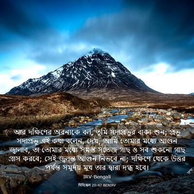 Picture 03 - যিহিষ্কেল 20:47 BENIRV - আর দক্ষিণের - Bible Verse Picture
