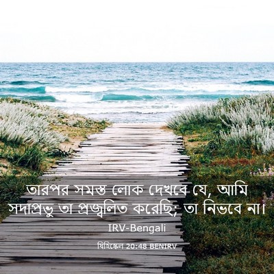 Picture 03 - যিহিষ্কেল 20:48 BENIRV - তারপর সমস্ত লোক - Bible Verse Picture