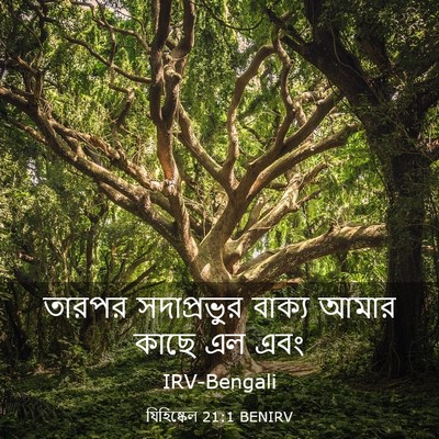 Picture 03 - যিহিষ্কেল 21:1 BENIRV - তারপর সদাপ্রভুর - Bible Verse Picture