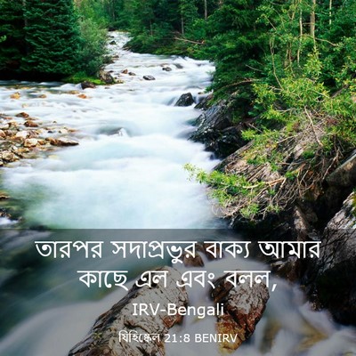 Picture 03 - যিহিষ্কেল 21:8 BENIRV - তারপর সদাপ্রভুর - Bible Verse Picture