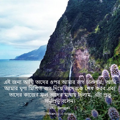 Picture 03 - যিহিষ্কেল 22:31 BENIRV - এই জন্য আমি তাদের - Bible Verse Picture