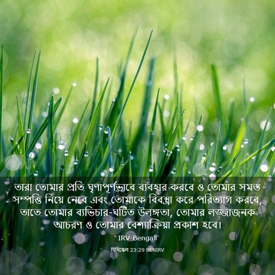 Picture 03 - যিহিষ্কেল 23:29 BENIRV - তারা তোমার প্রতি - Bible Verse Picture